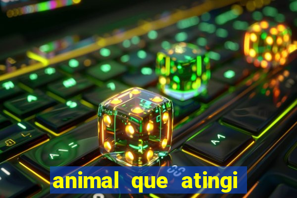 animal que atingi 230 decibeis